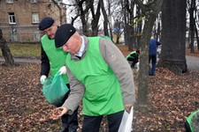 Межевание лесов в Ставрополе: процесс пошел