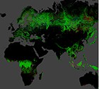 Красные пятна на теле Земли