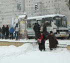 В режиме повышенной готовности