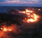 Еще не засушливое лето, но трава в степи уже горит