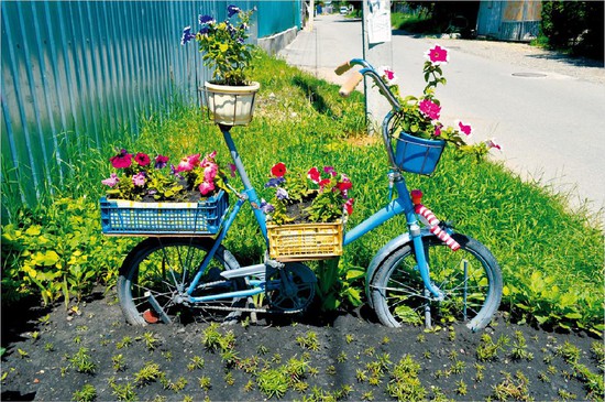 Велосипед с растительными «ездоками».
