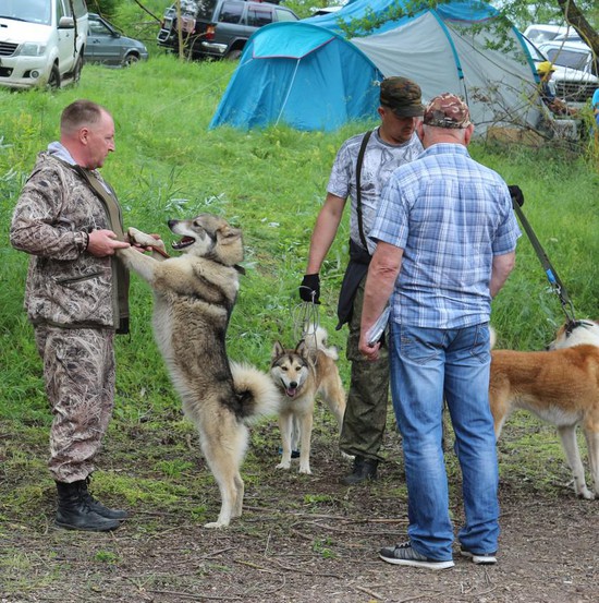 Фото пресс-службы министерства природных ресурсов и охраны окружающей среды Ставропольского края.