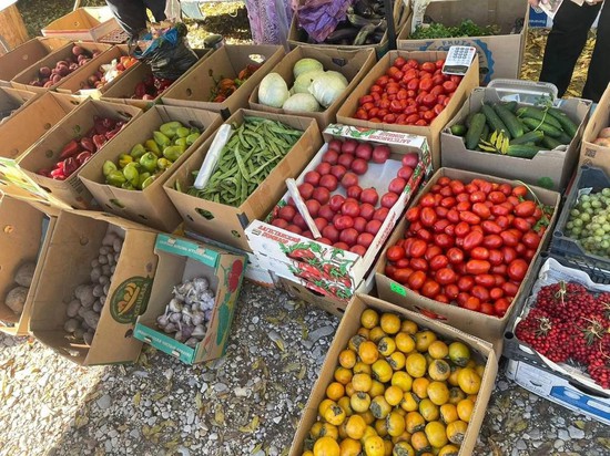 Овощи. Фото администрации Предгорного округа
