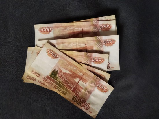 Почти 80% бюджета Ставрополя направят на социальные расходы