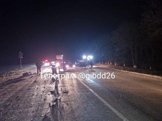 На Ставрополье заяц на дороге спровоцировал ДТП. Фото ГИБДД СК
