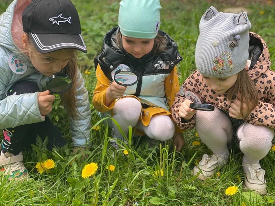 Юные горожане заботятся о природе. Пресс-служба администрации города-курорта Кисловодска